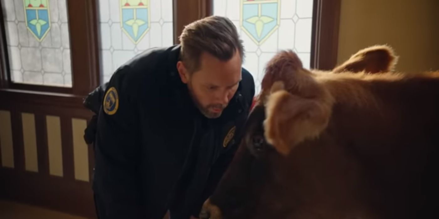 10 Best Animal Captures So Far on ‘Animal Control'