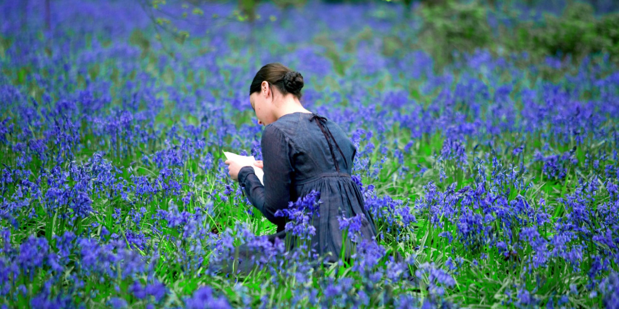 Back shot of Abbie Cornish as Fanny reading a letter while sitting in a flower field in Bright Star