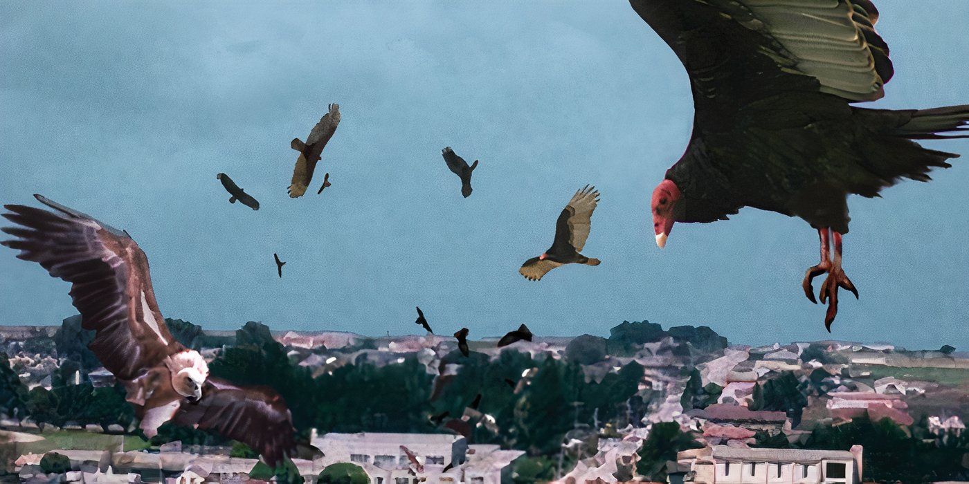 Various CGI birds attack a city in 'Birdemic: Shock and Terror'.