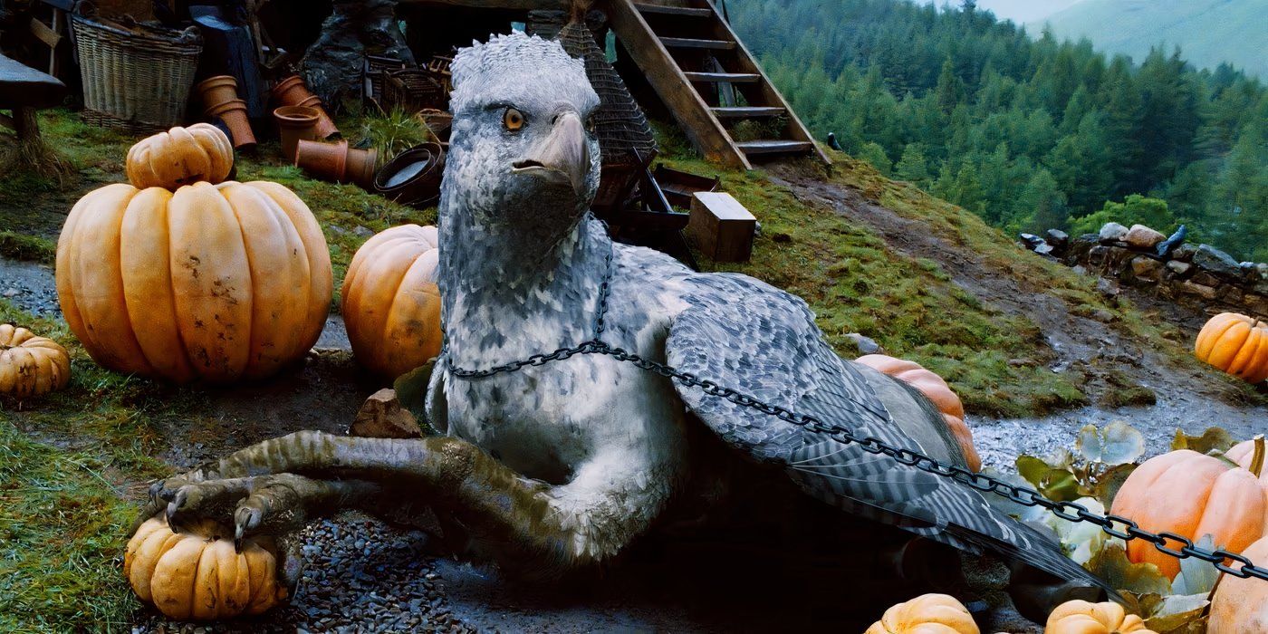 Buckbeak the hippogriff with pumpkins and a chain around its neck in Harry Potter and the Prisoner of Azkaban