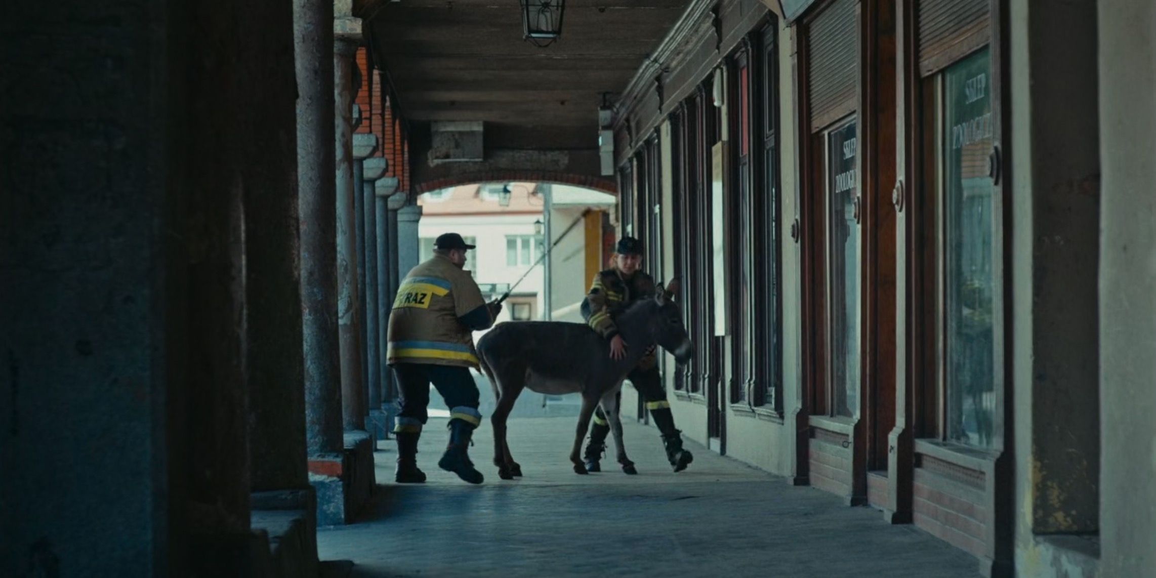 Wide shot of EO the donkey being captured by two animal control officers in EO
