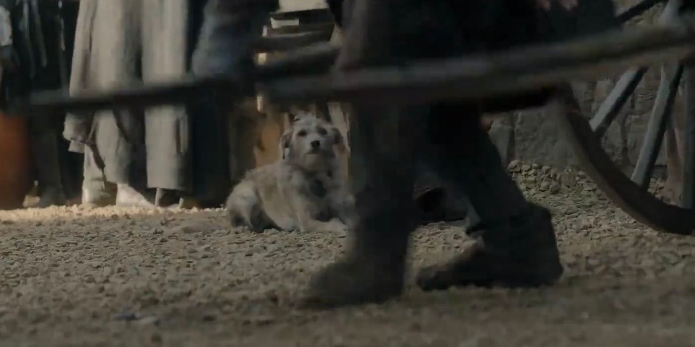 A dog watching a cart in House of the Dragon