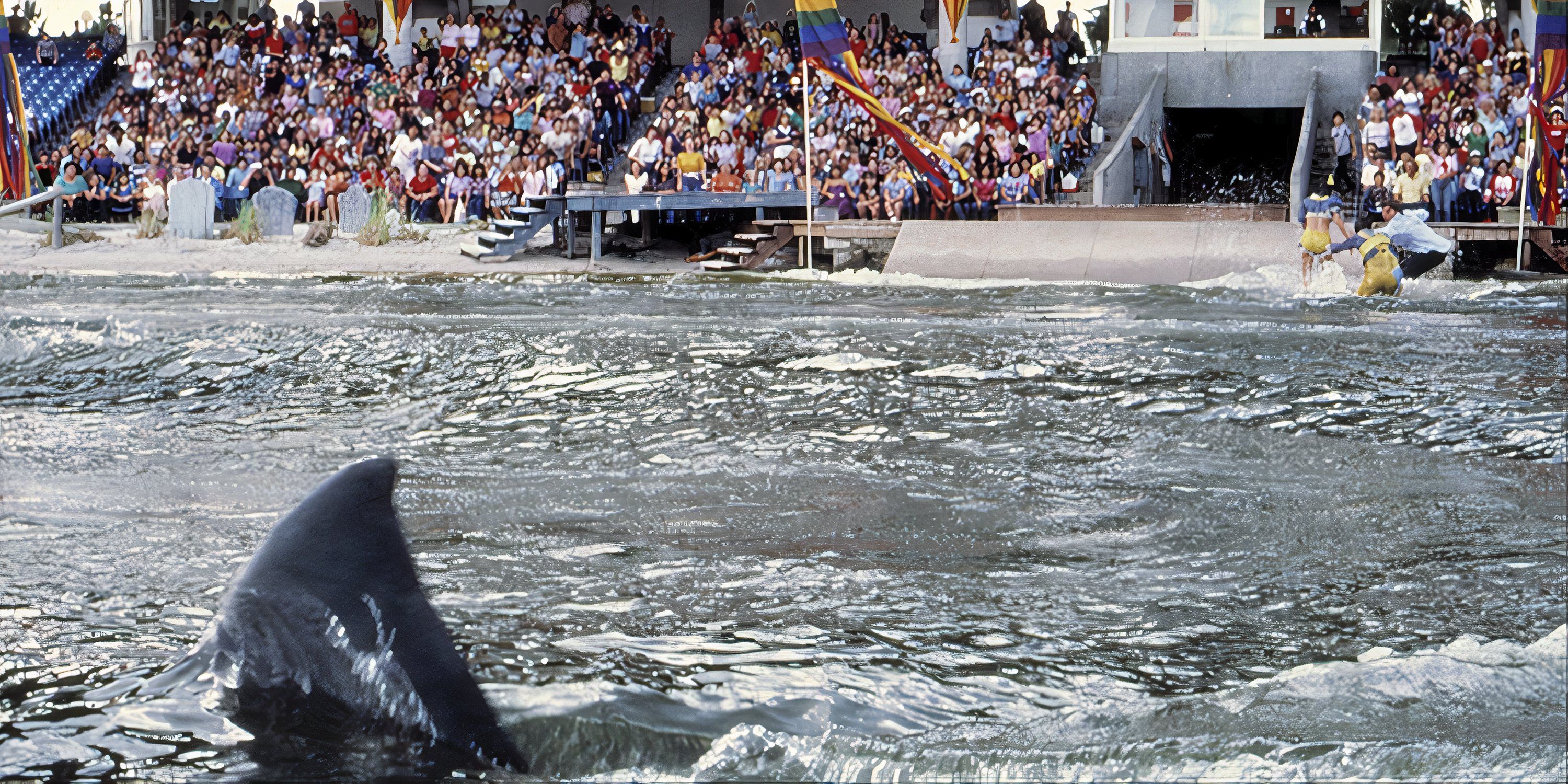 A crowd of people watching a shark in a tank in 'Jaws 3D'