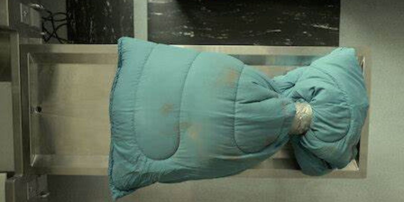 A dirtied sleeping bag as featured in 'Unsolved Mysteries' 