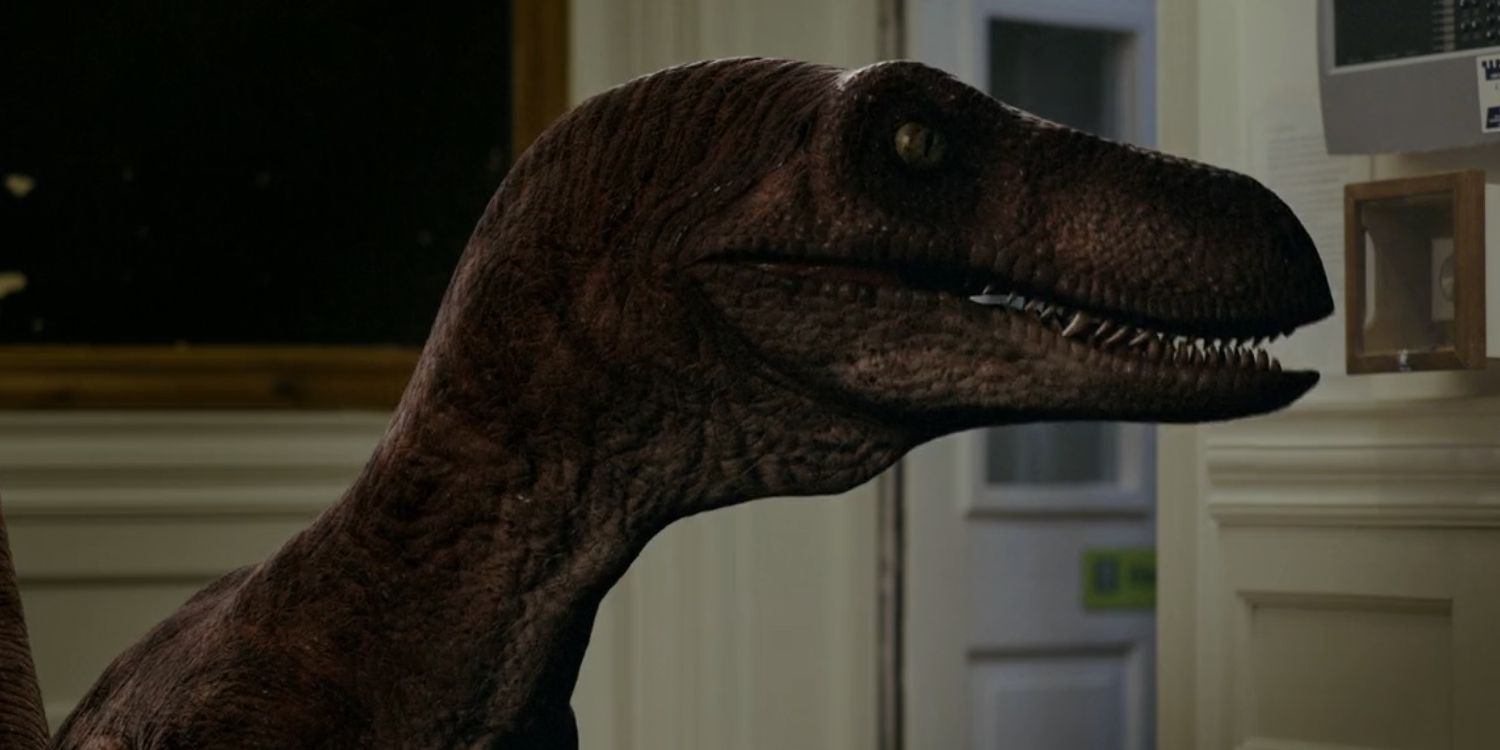 A velociraptor in Dinosaur Hotel.