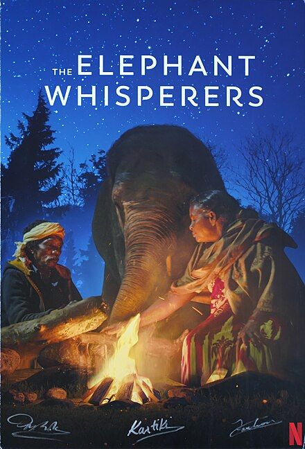 elephant whisperers poster