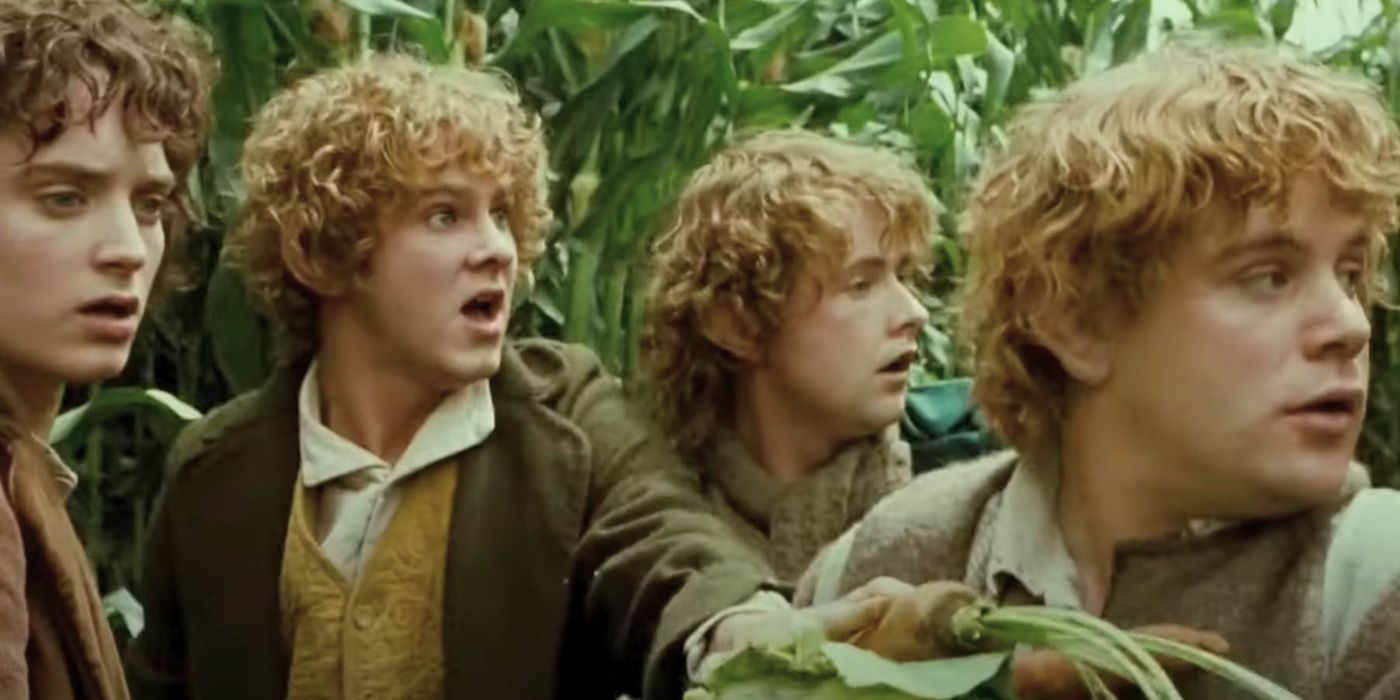 In Fellowship of the Ring, the four hobbits look scared in Farmer Maggot's field.