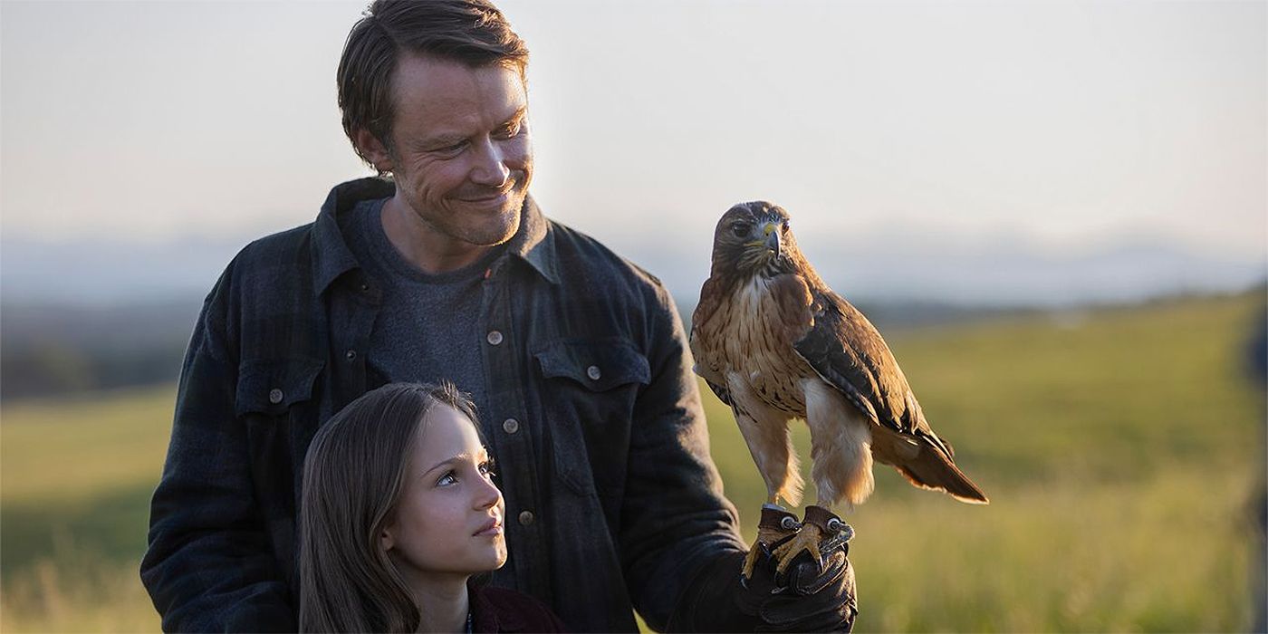 Michael Dorman as Joe Pickett with his daughter holding a falcon in his hand