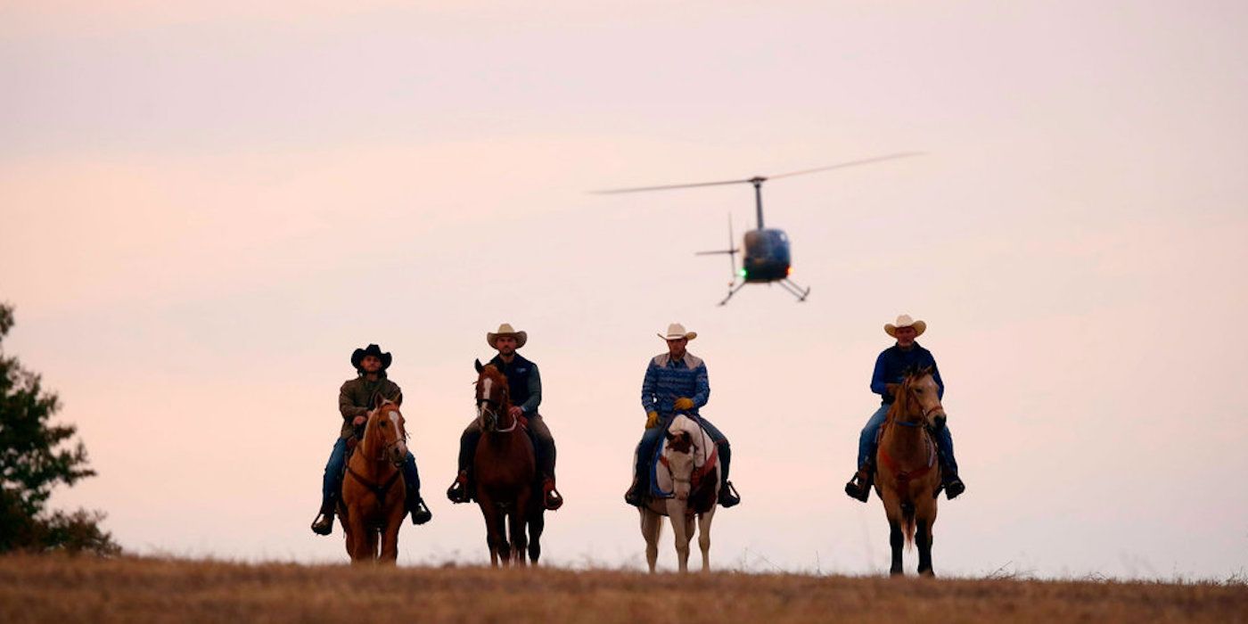 mcbee-dynasty-brothers-horses