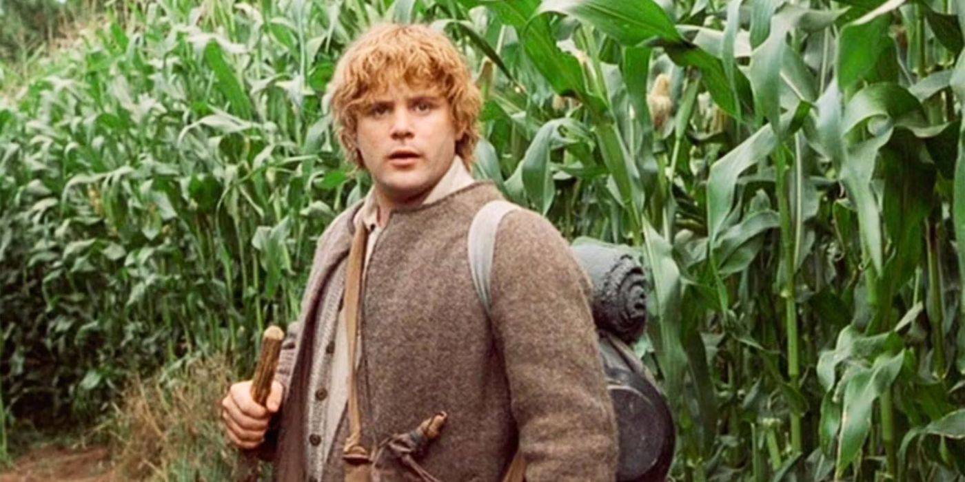 A still from The Fellowship of the Ring of Sam, played by actor Sean Astin, standing in a field looking off into the distance.