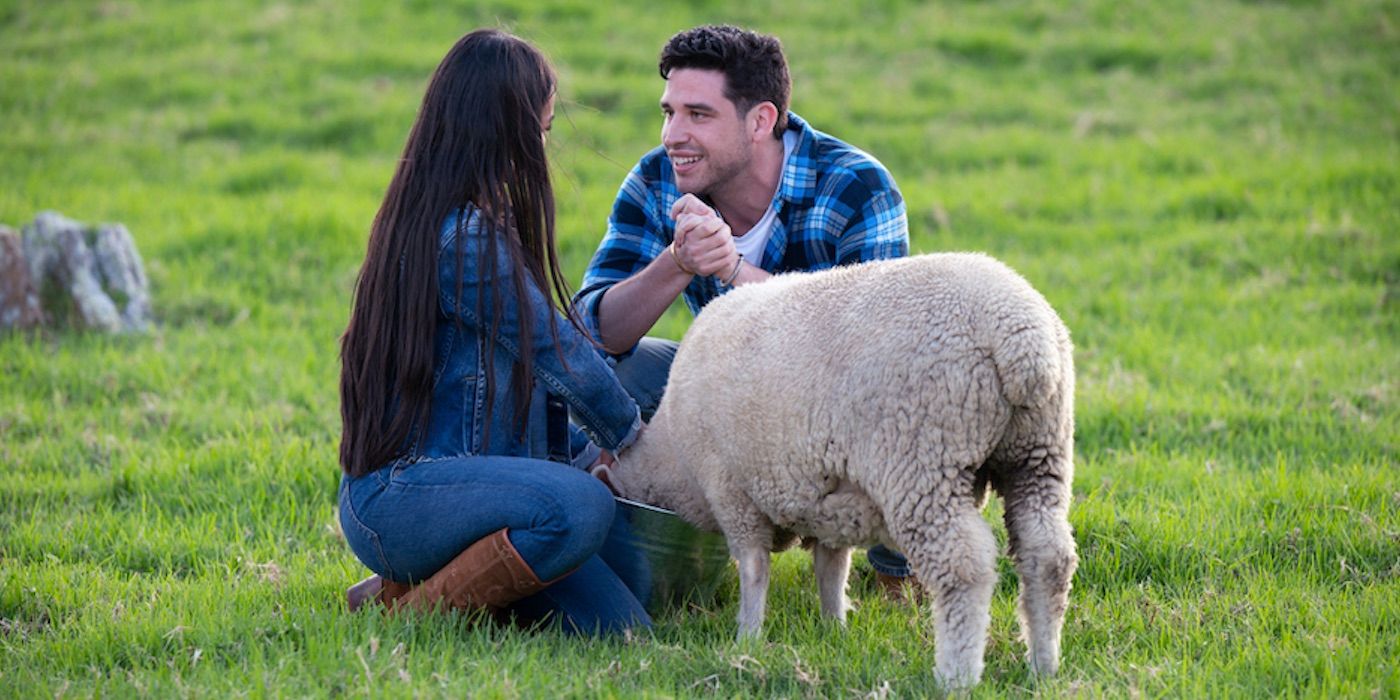 Jenn Tran and Devin Stader with a sheep, talking and smiling on a farm date in 'The Bachelorette' 