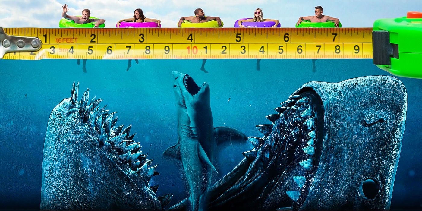 Has a Shark Ever Come Close to the Size of 'The Meg' in Real Life?