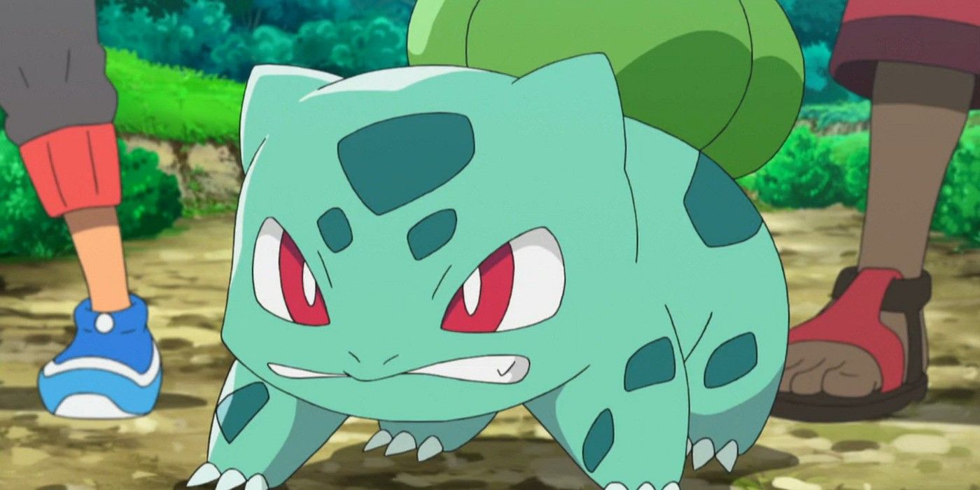 En la serie de anime Pokémon, un Bulbasaur enojado se para frente a un entrenador Pokémon y aprieta los dientes. 