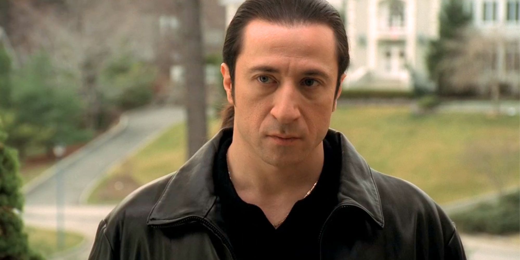 Federico Castelluccio as Furio Giunta in The Sopranos