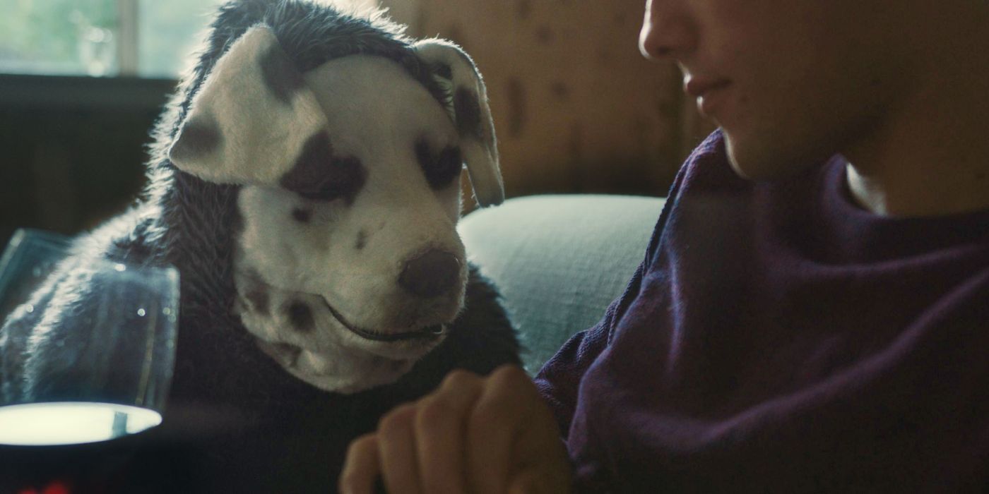 Frank intently looking at Sigrid in Good Boy