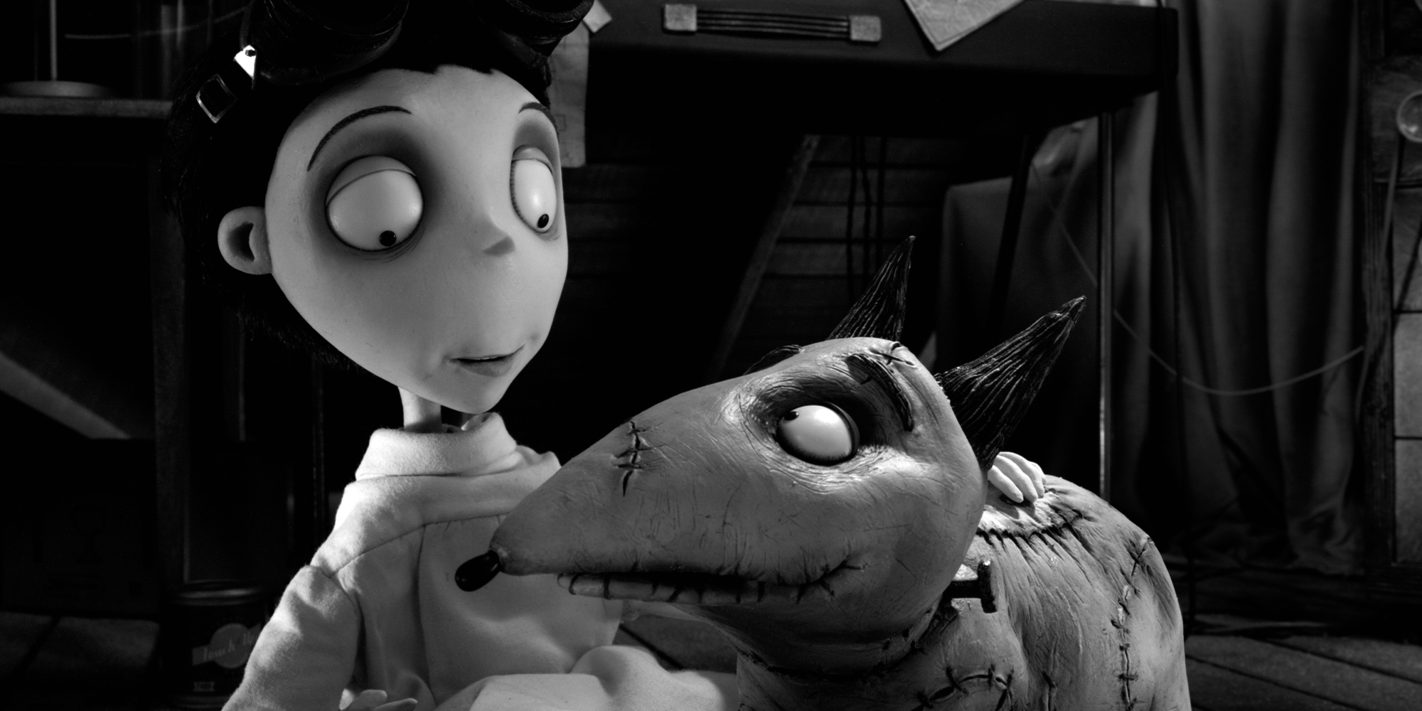 Victor (Charlie Tahan) looking at Sparky in their attic in?Frankenweenie