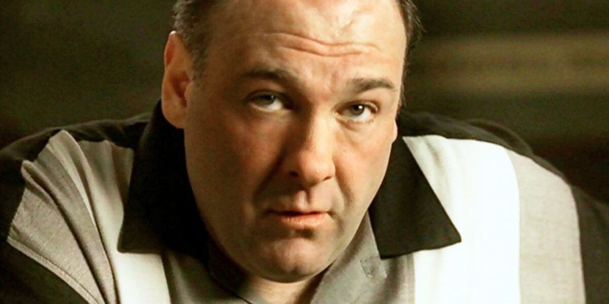 James Gandolfini as Tony Soprano in The Sopranos