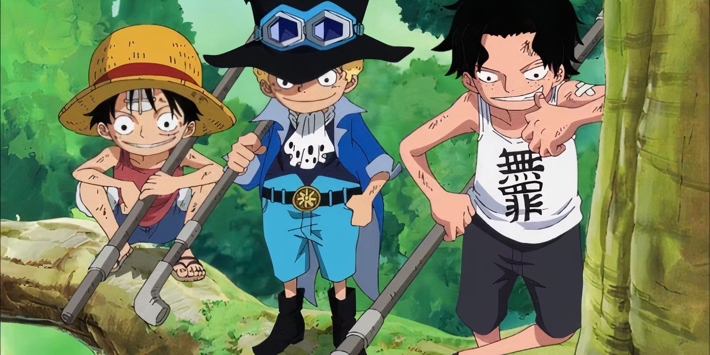 Luffy, Sabo, and Luffy in One Piece