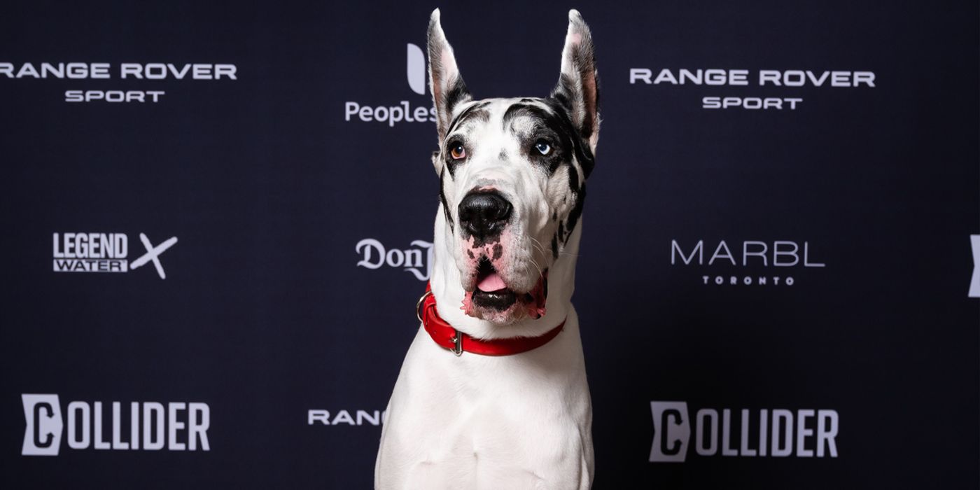 Bing the Dog at TIFF 2024 for The Friend