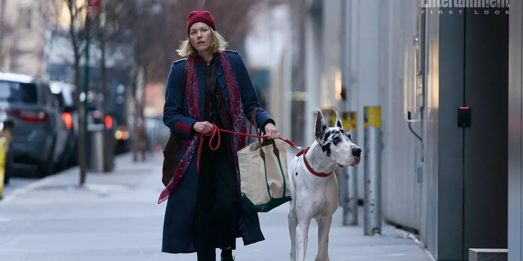 Naomi Watts as Iris walking Bing as Apollo in The Friend.