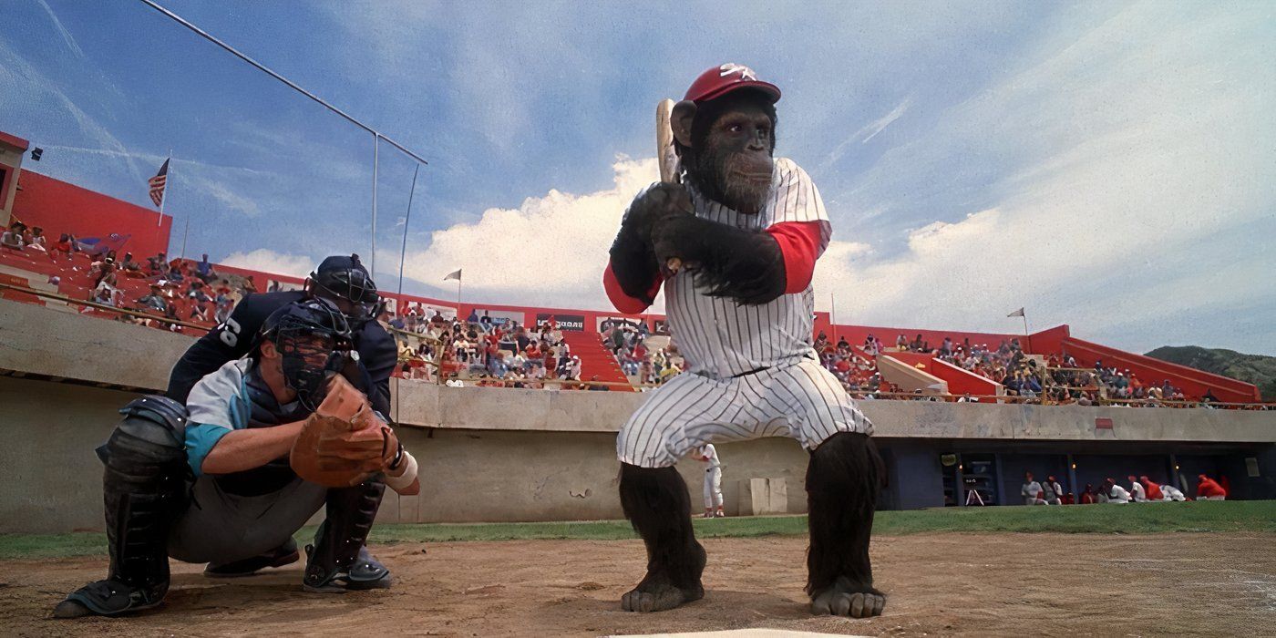 A chimp playing baseball in Ed
