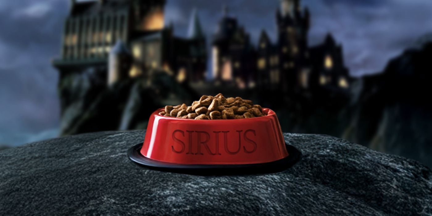 A dog bowl waiting for Sirius Black, an Animagus, outside Hogwarts