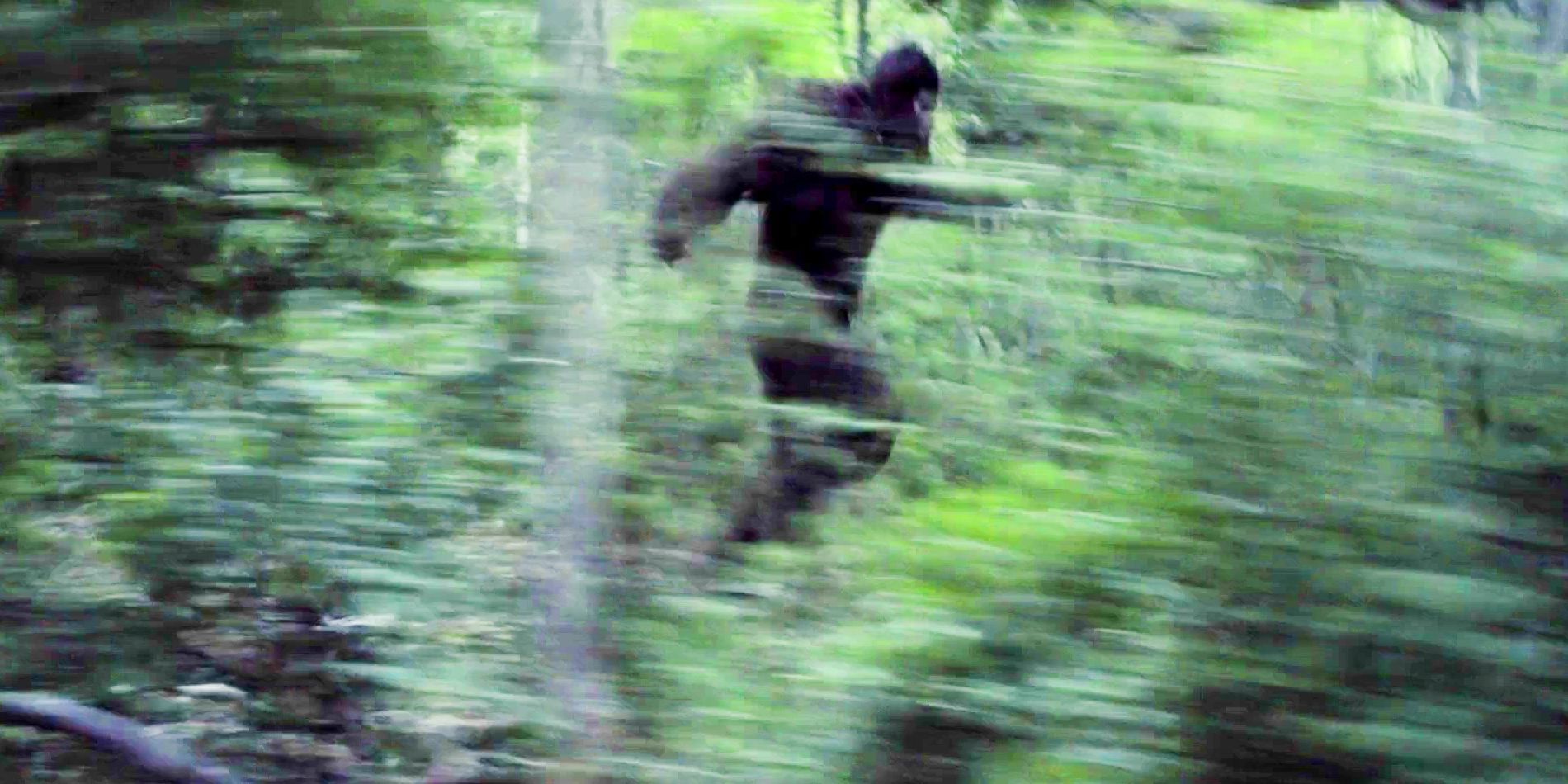 The Director of ‘The Blair Witch Project’ Also Made This Daring Found ... image.