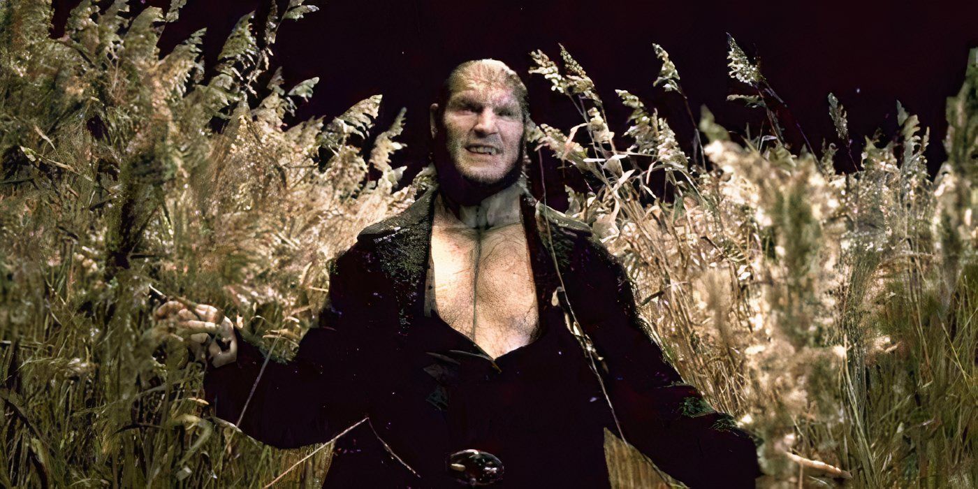 Fenrir Greyback in 'Harry potter and the half-blood prince'