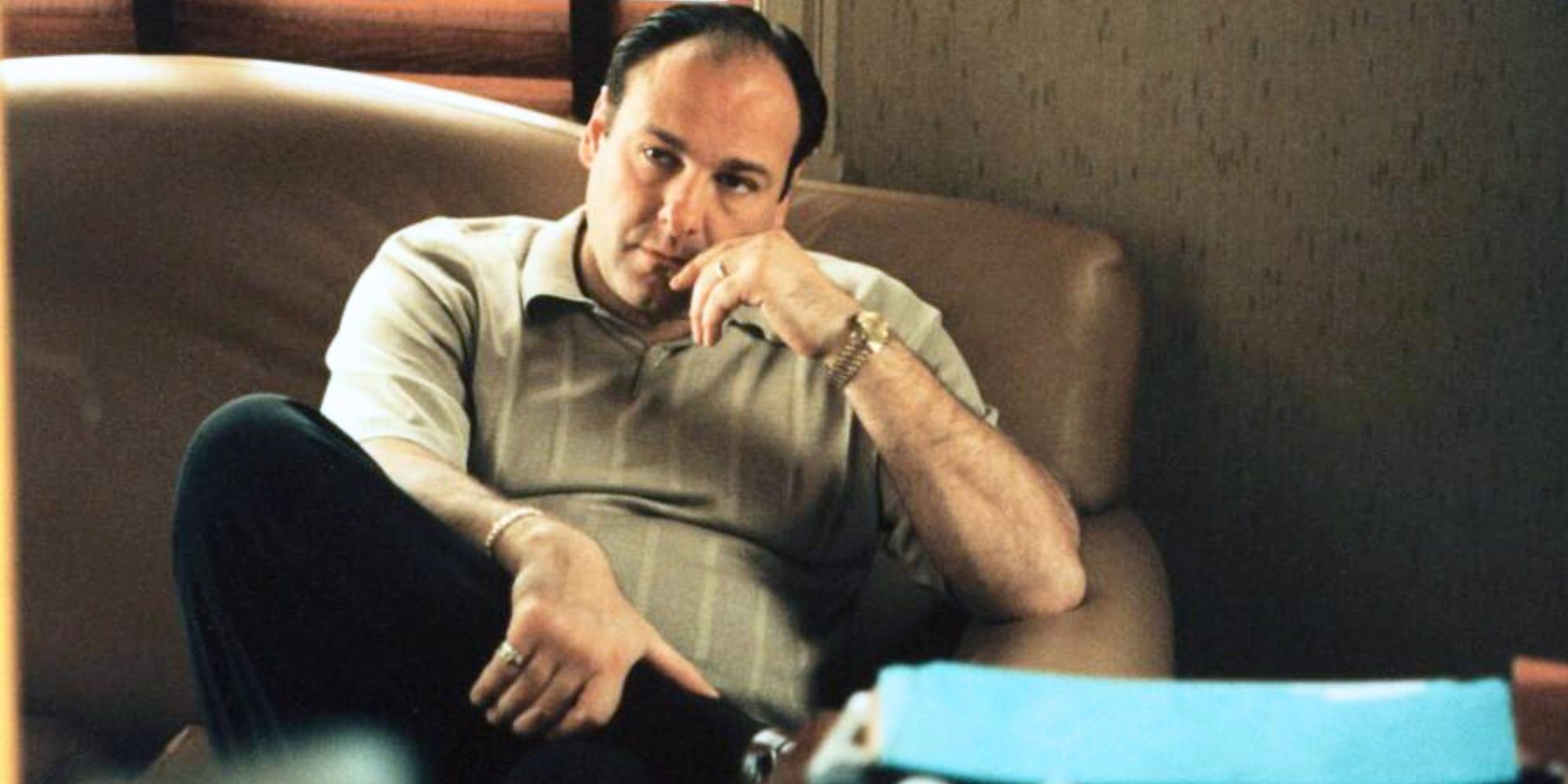 James Gandolfini sitting on a couch in The Sopranos episode Bust Out