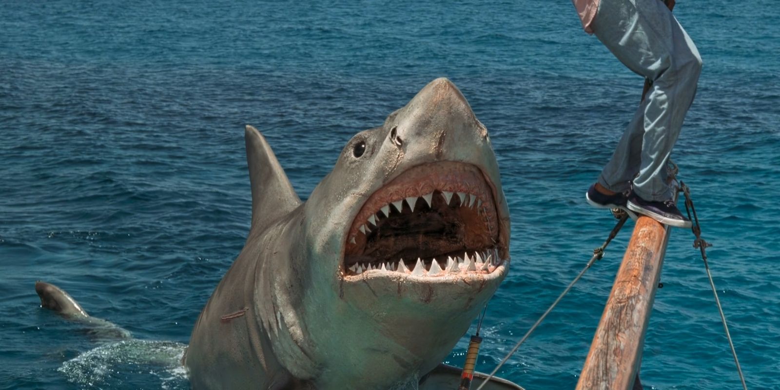 A shark pops out from the ocean in 'Jaws: The Revenge'.