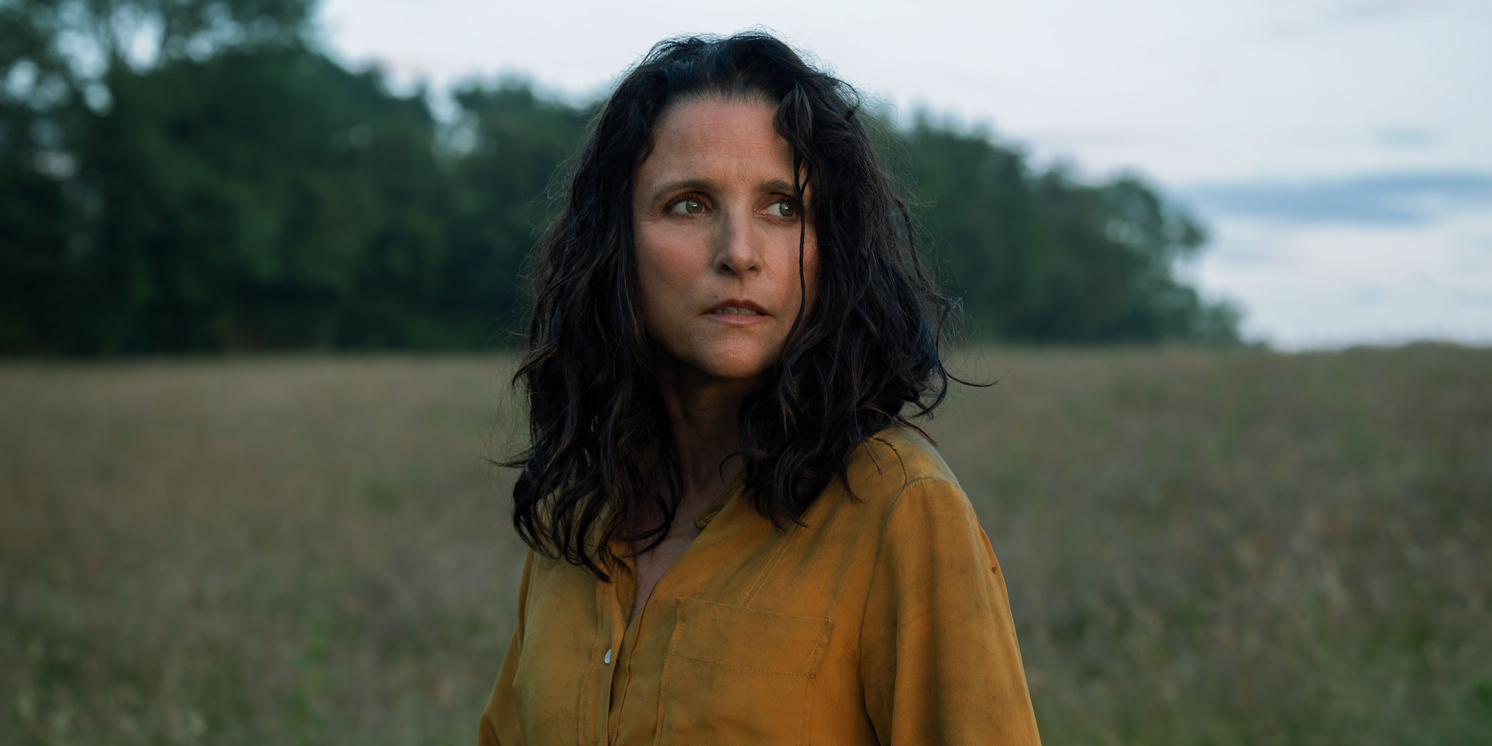 tuesday-julia-louis-dreyfus