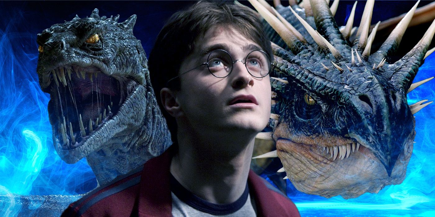 Custom image of Daniel Radcliffe as Harry Potter, next to images of the Basilisk and Hungarian Horntail dragon