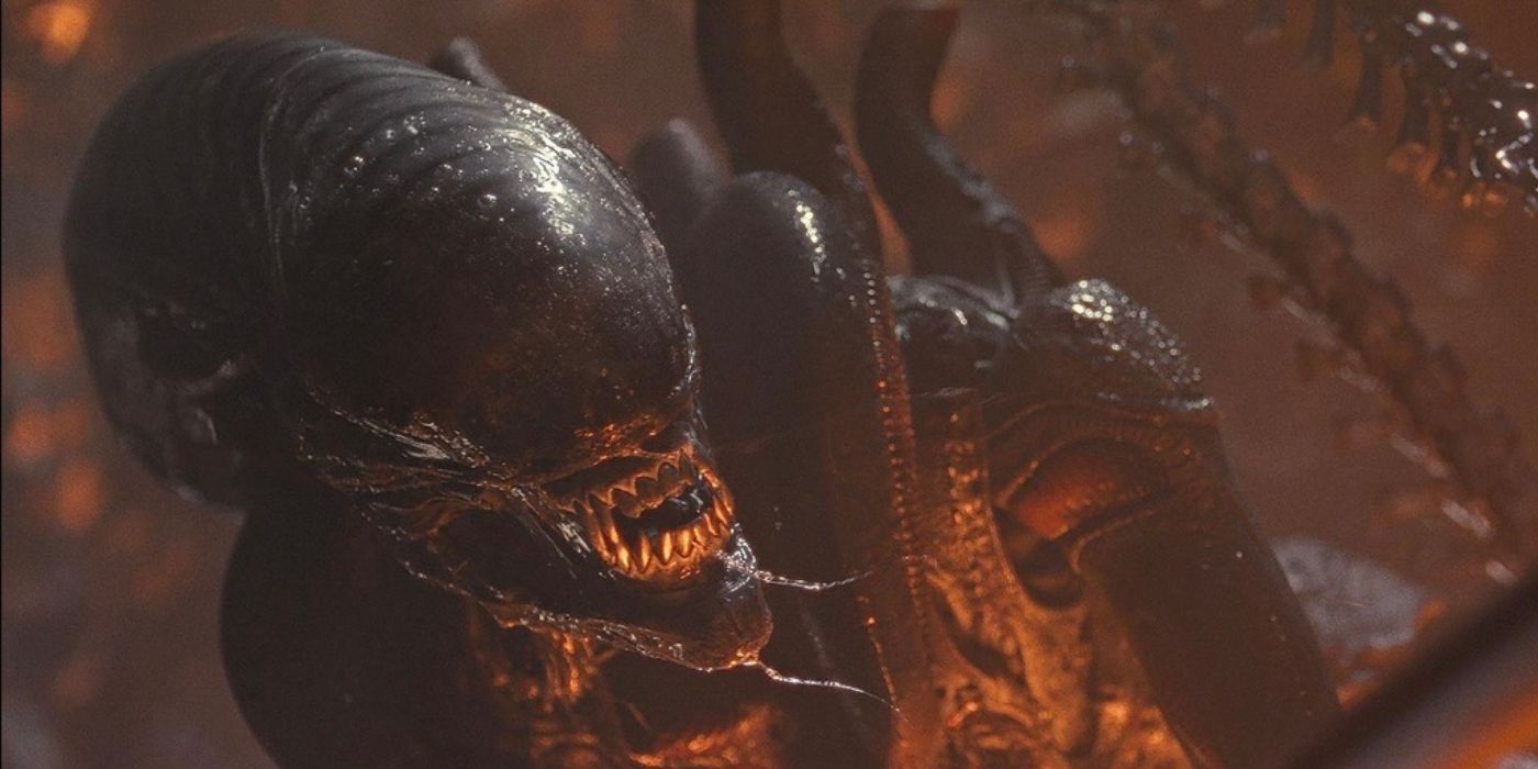 The Xenomorph lurking in Alien: Romulus