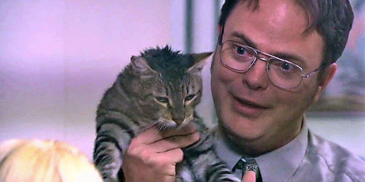 Dwight (Rainn Wilson) with Garbage the cat in Season 4&rsquo;s &ldquo;Dunder Mifflin Infinity&rdquo;, &lsquo;The Office&rsquo;.