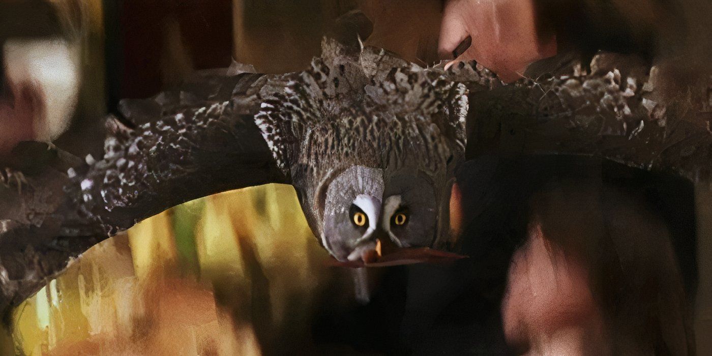 Errol the Owl flying into the Great Hall in 'Harry Potter and the Chamber of Secrets'