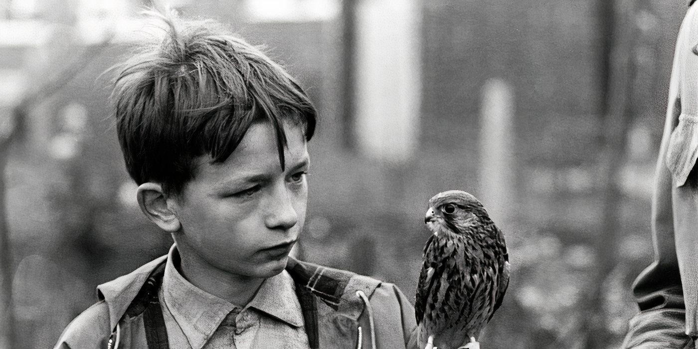 A young boy with his kestrel in &lsquo;Kes&rsquo; (1969) 4