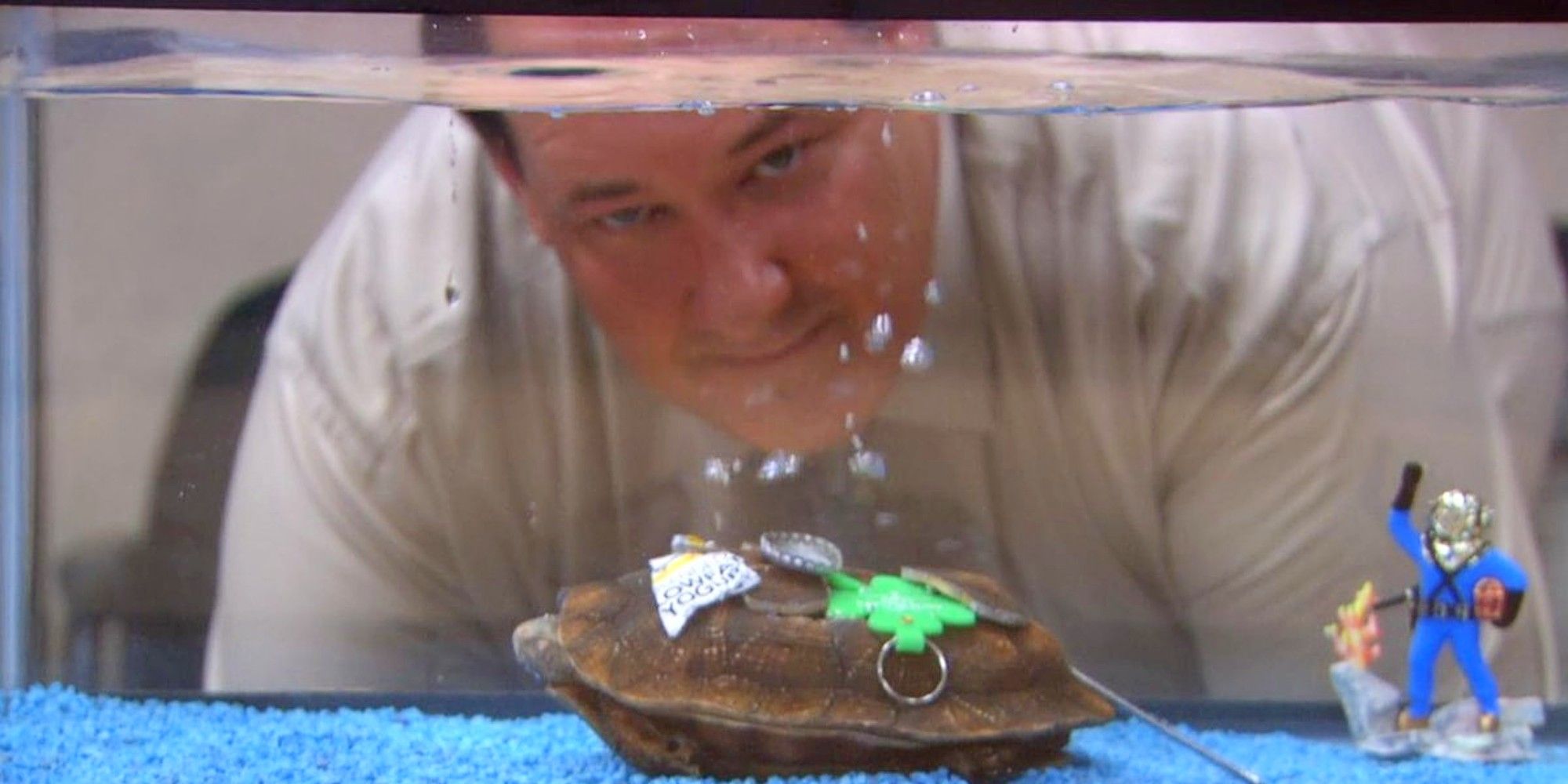 Kevin Malone watching his turtle through the glass of a fish tank in The Office