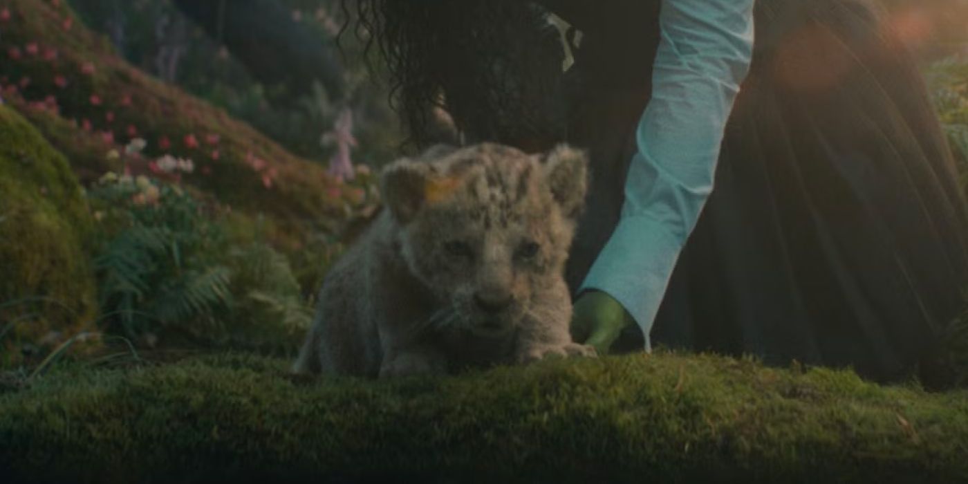 A lion cub in the woods in Wicked.