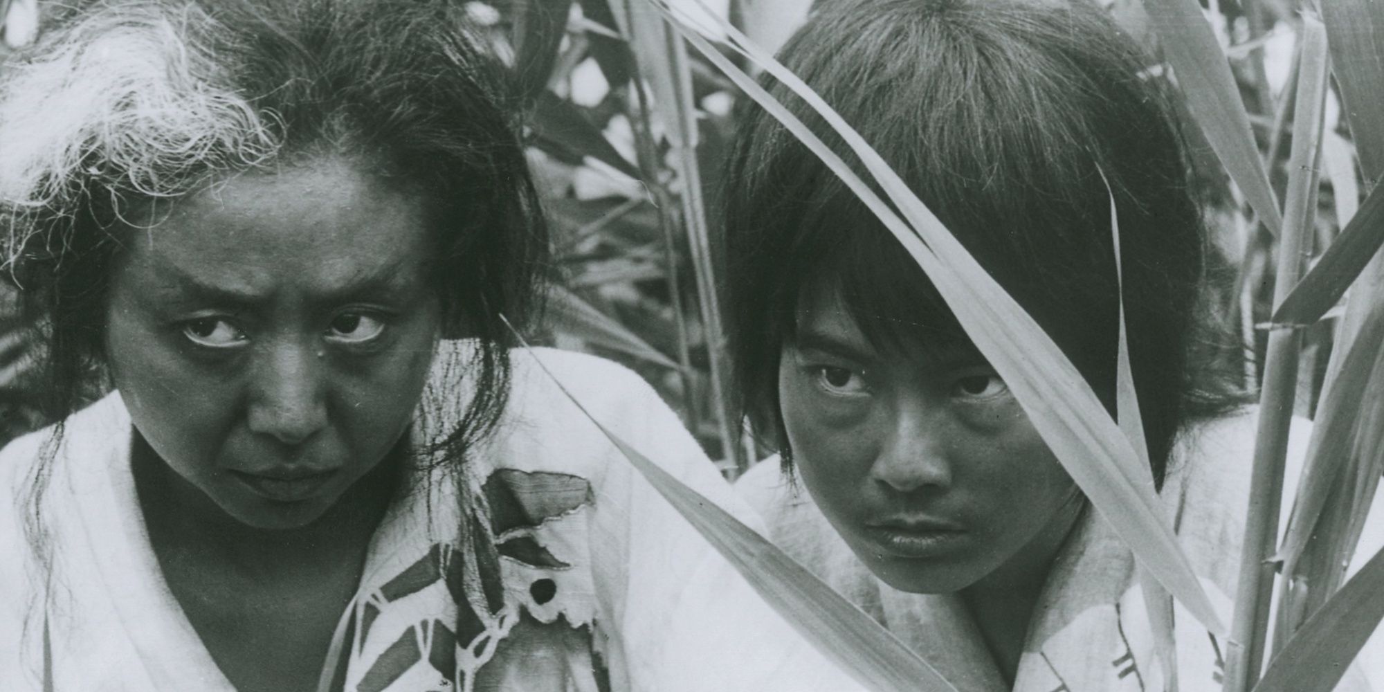 Nobuko Otowa and Jitsuko Yoshimura in Onibaba