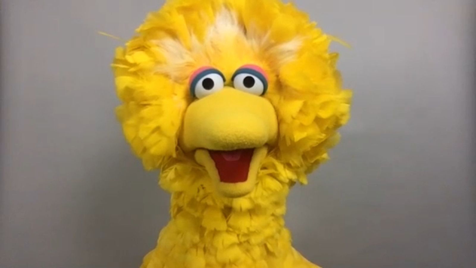 Big Bird