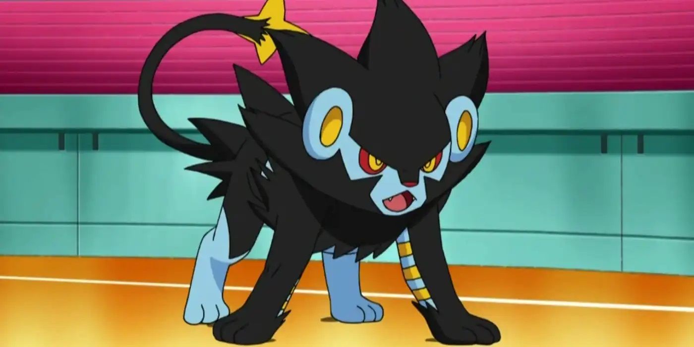 A Luxray in battle in the Pokémon anime.
