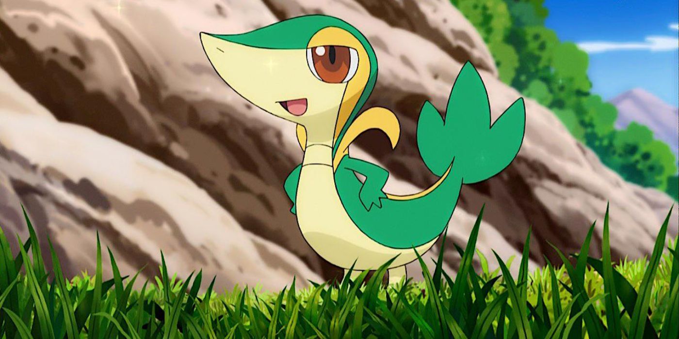 Snivy de Ash está parado en el césped con una expresión de confianza en su rostro.