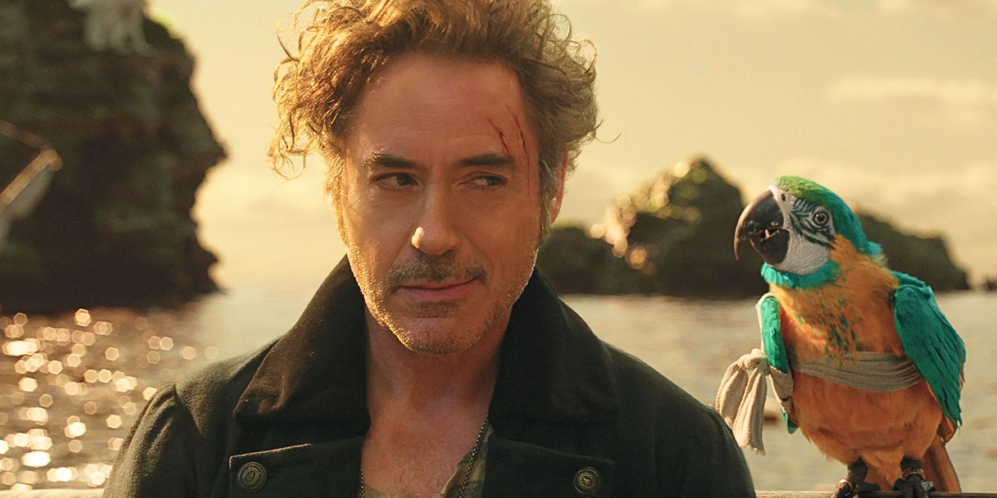 Dr. Dolittle, played by Robert Downey Jr., smirks while looking at a parrot in 'Dolittle'.