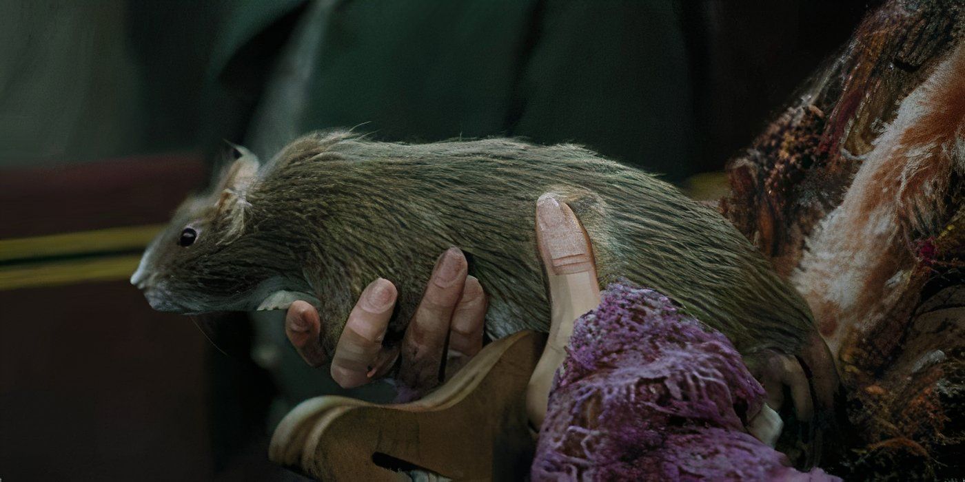 Molly Weasley carries Scabbers in 'Harry Potter and the Prisoner of Azkaban'