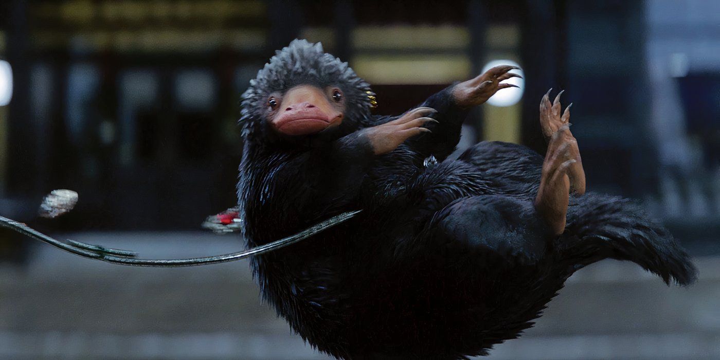 Teddy the Niffler in 'Fantastic Beasts and Where to Find Them'