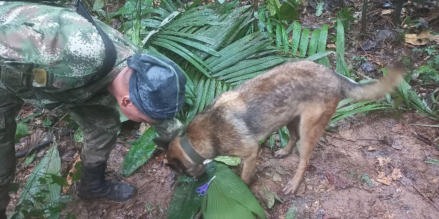 A soldier communicating with Wilson the dog during Operation Hope.
