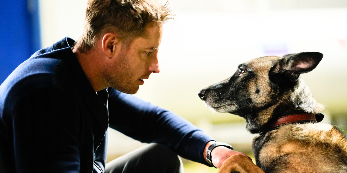 Justin Hartley in Tracker with a dog