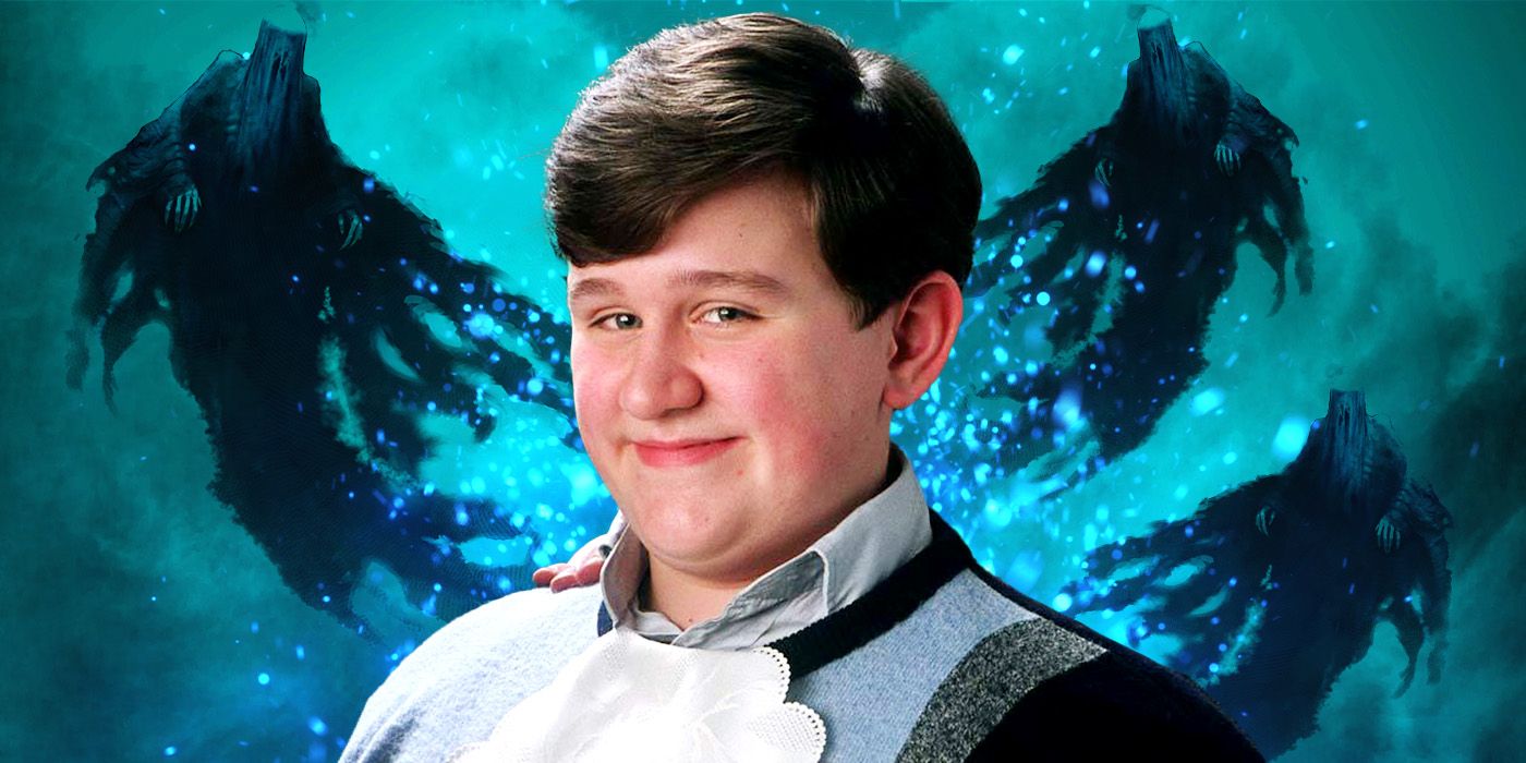 What Became of Dudley Dursley After the Harry Potter Series?