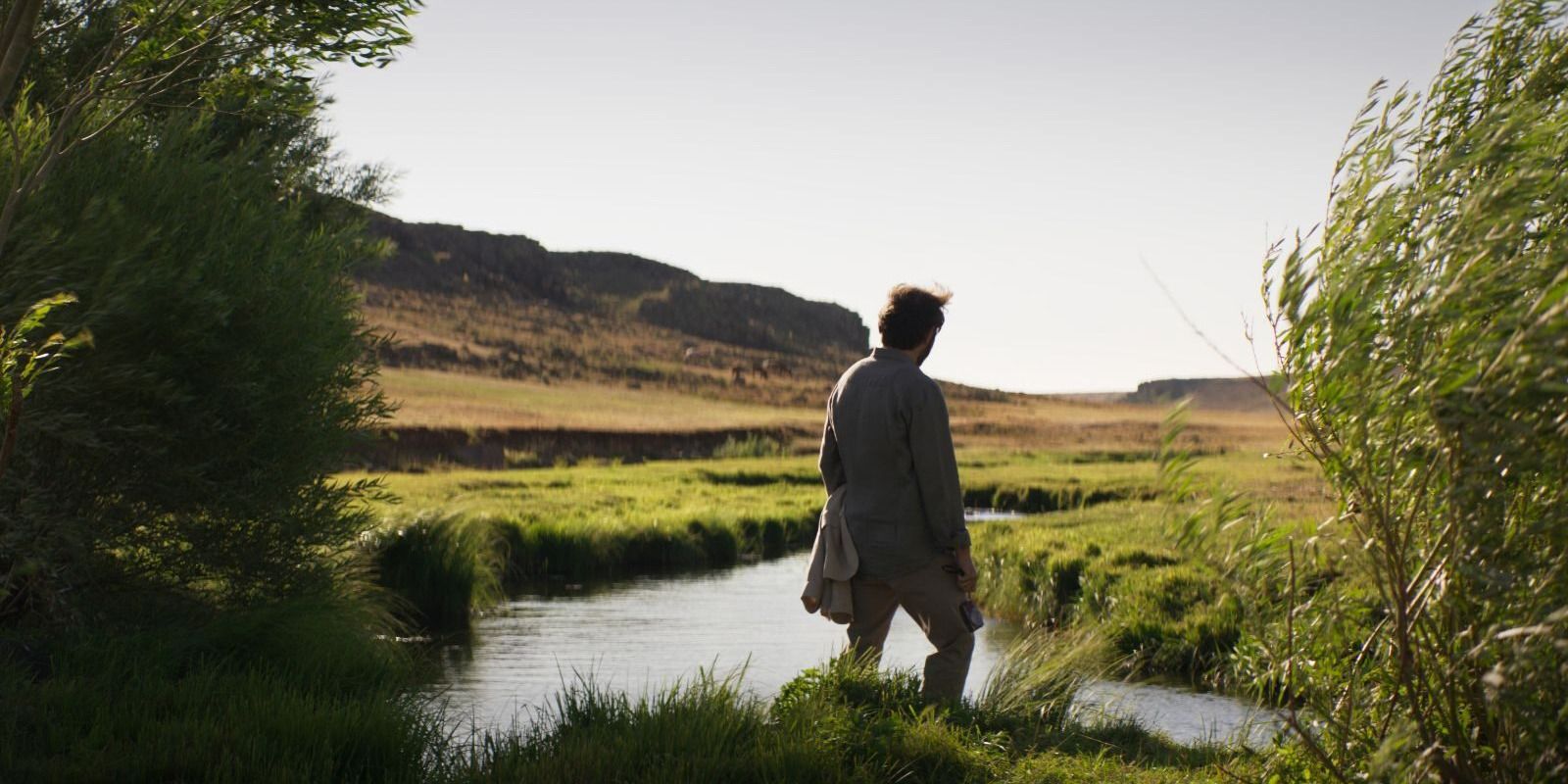 A man looking at the horizon in &lsquo;About Dry Grasses&rsquo;