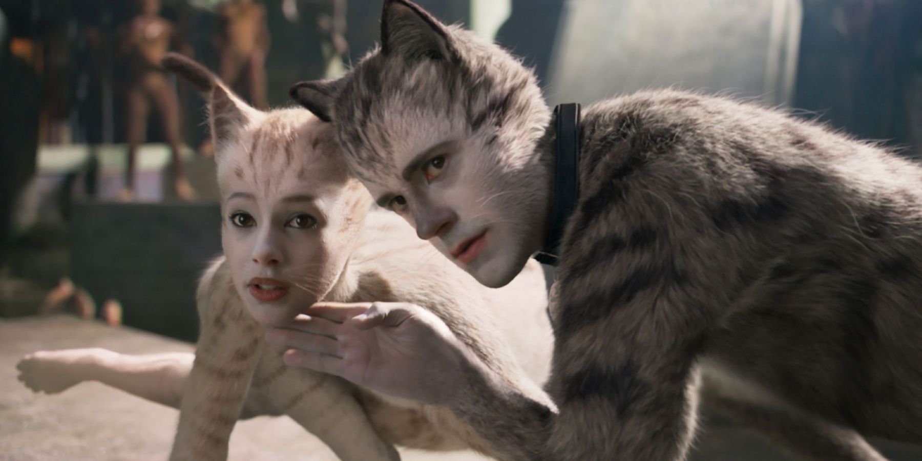 Cats - 2019